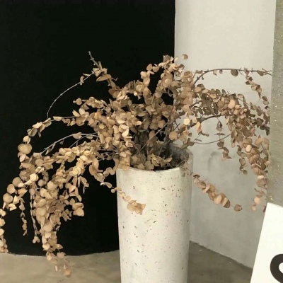 上党FurryQQ群介绍